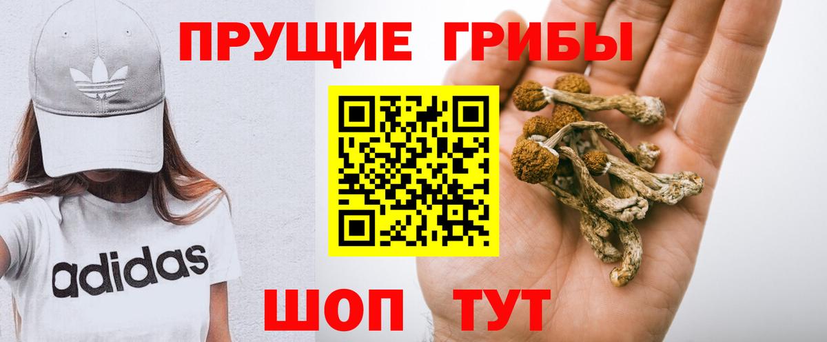 Карталы  Псилоцибиновые грибы мухоморы  Псилоцибиновые грибы Psilocybine cubensis  наркота  Вход с VPN 